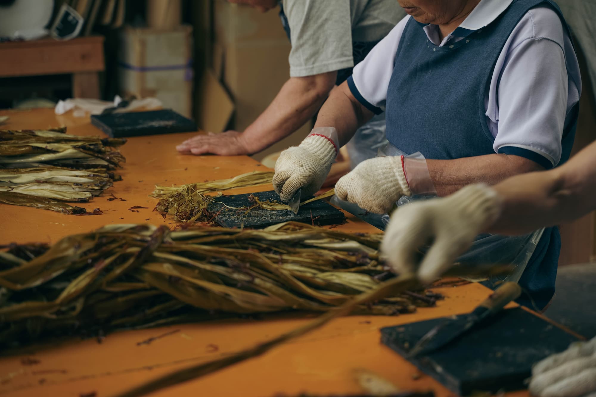 楮ほうじ茶 ティーバッグ8包入 茶筒