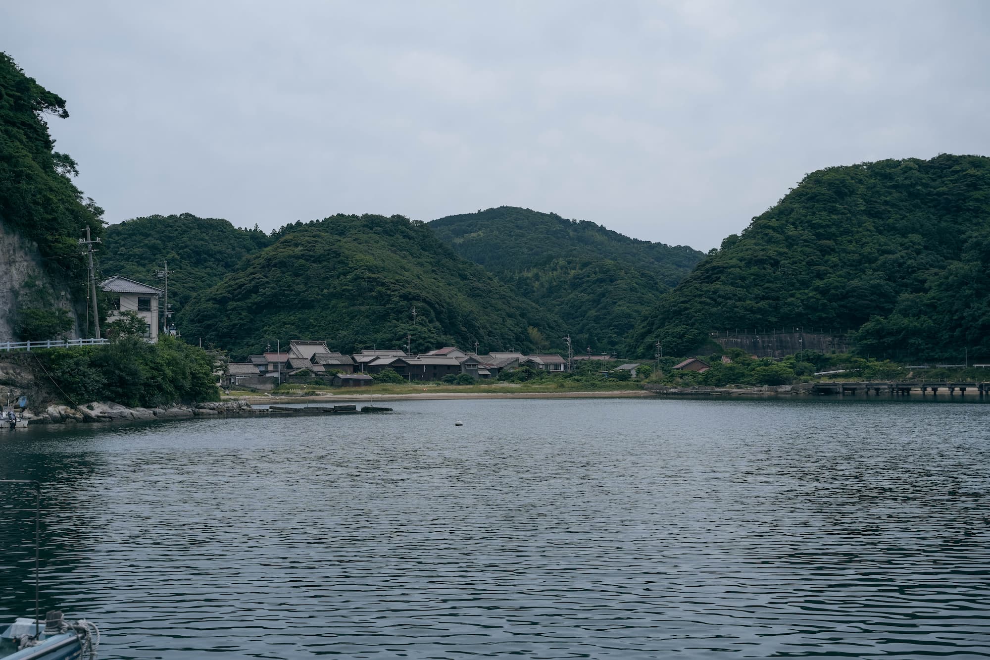 焙煎マコモとスギナ ティーバッグ6包入 茶筒