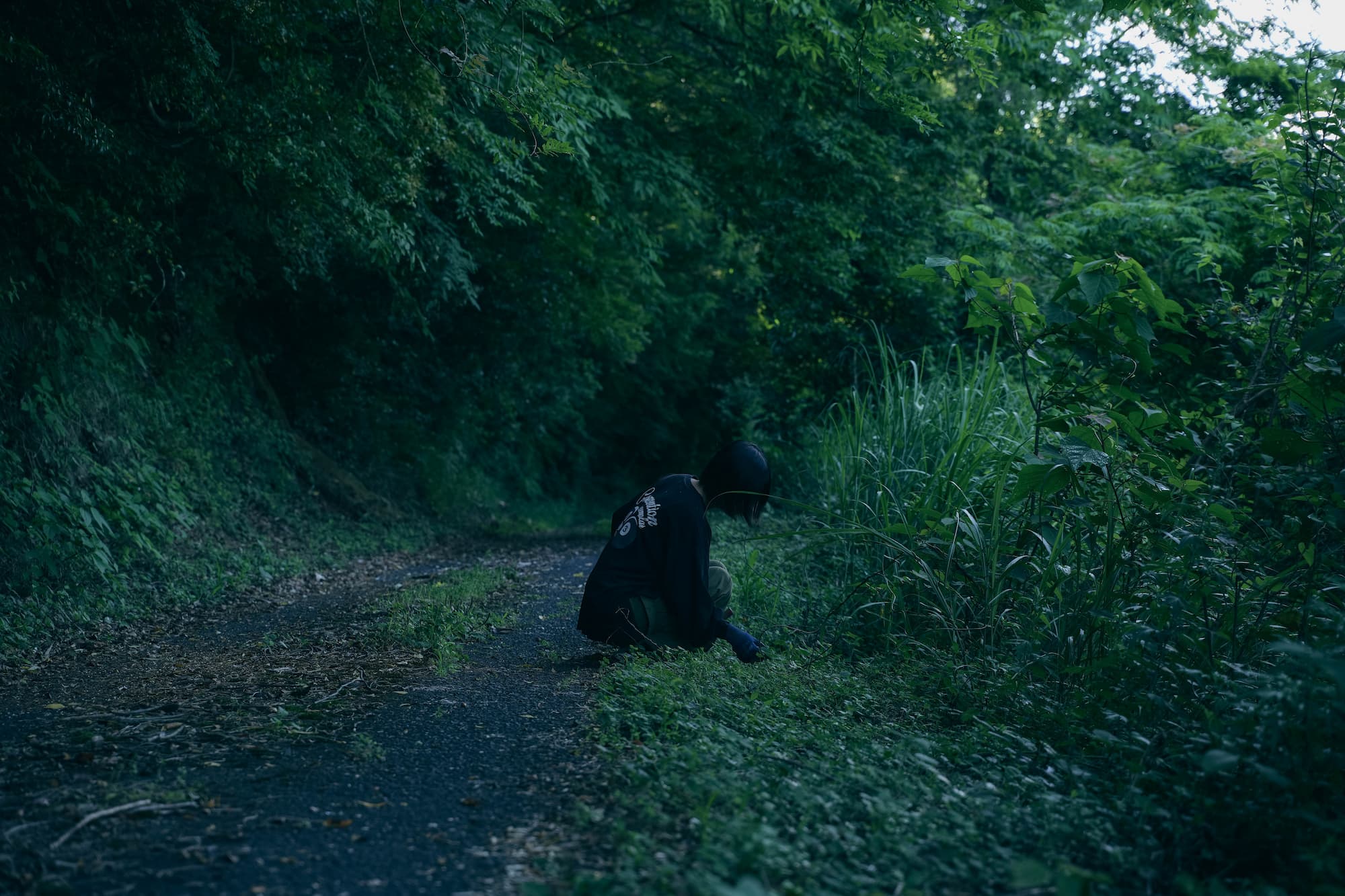 カキドオシとレモングラス ティーバッグ6包入 茶筒