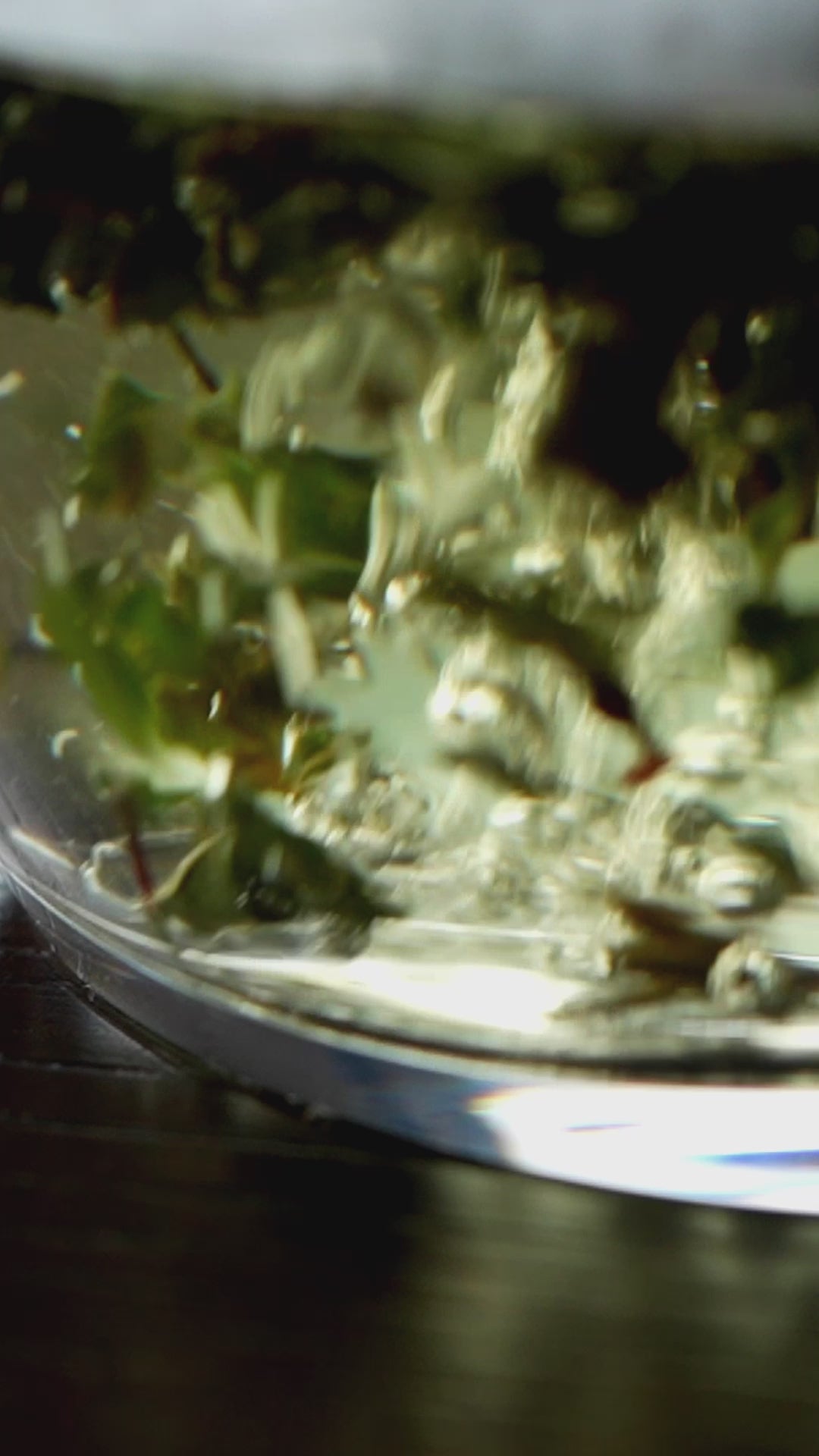 楮ほうじ茶 ティーバッグ8包入 茶筒